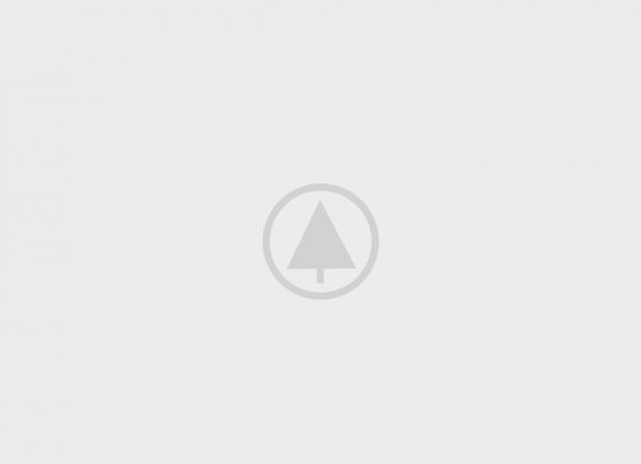 wood-portfolio-placeholder wood-portfolio-placeholder